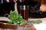 Shamanens Hver Dags Te, med STEVIA