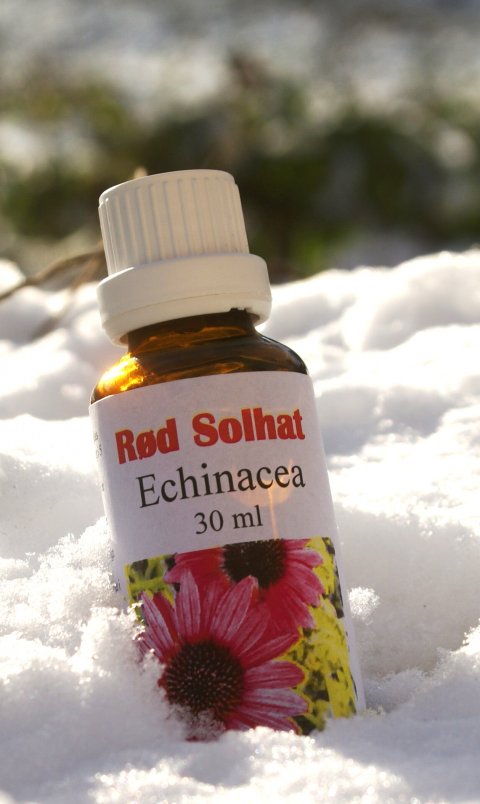 Rd Solhat (Enchinacea)