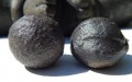 Moqui Balls