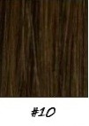 Trense, Golden Brown