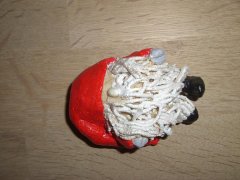 Hottentot nissen