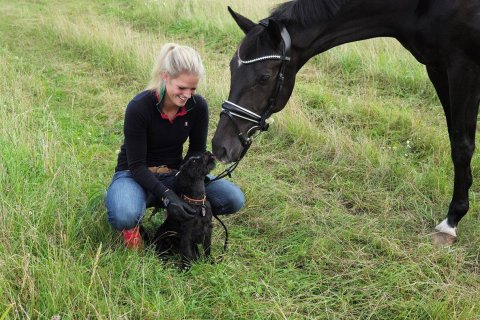 Brandtbjergs Olivia hos Eva