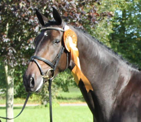 Zelina ved eliteskuet