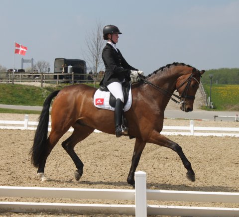 Romando og Carina Nevermann