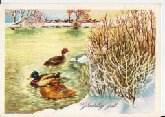 Christmas cards with animals and nature as a motif.