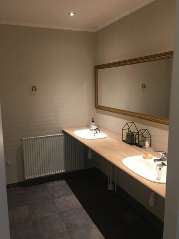 dame toilet