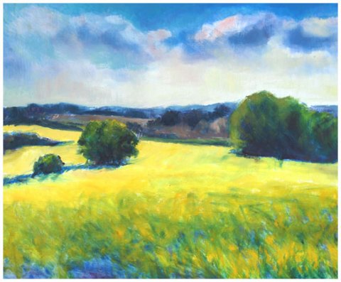 Olie billeder 60x80