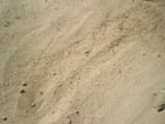 Hvidt sand