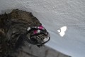 Handmade heavy leatherbracelet in pink colours