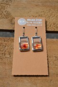 Earrings of surgical steel and glass