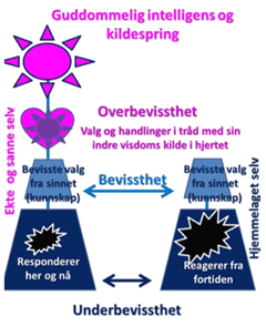 Bevissthetsutvikling
