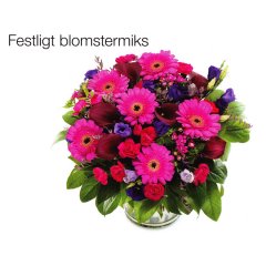 BOU13_91