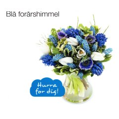 BOU14_27