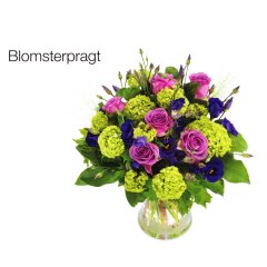 BOU14_37