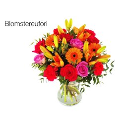 BOU14_42