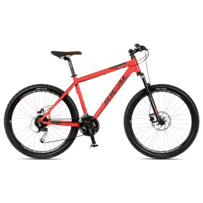 PRO RIDER disc