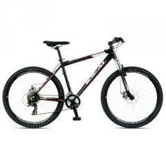 FREEDER disc