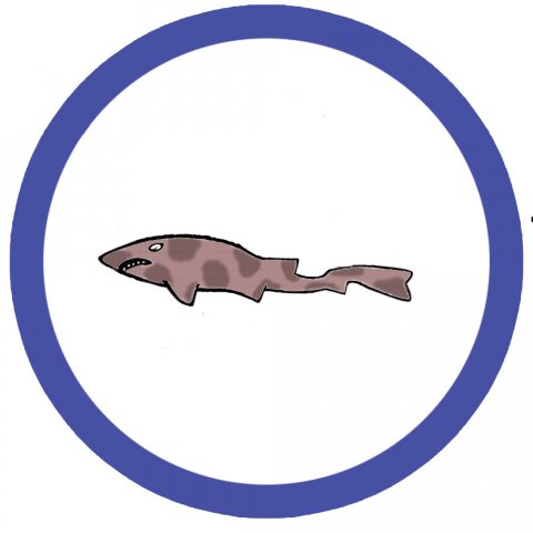 Rødhajhold