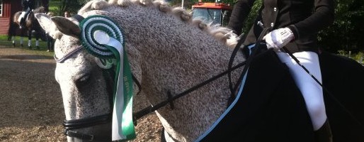 opvarmning til talentsamling 201