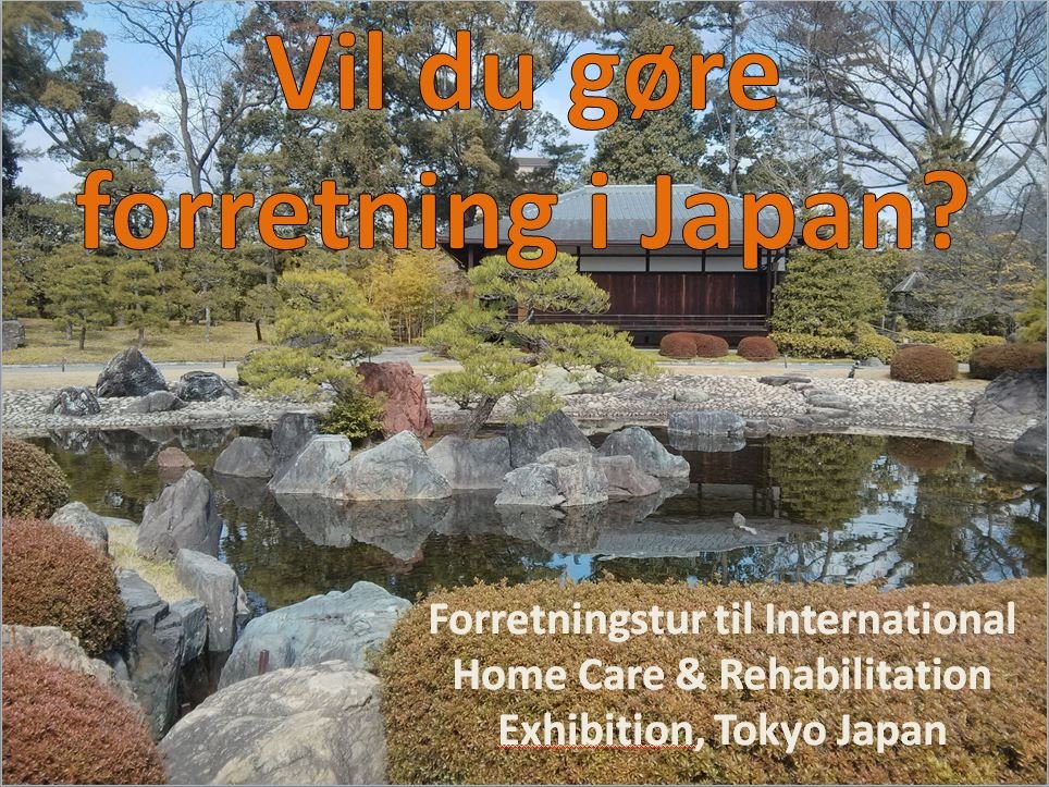 Business trip to Japan