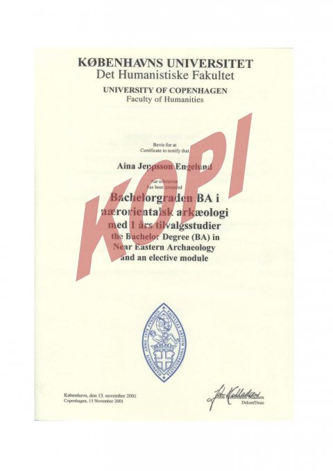 Bachelor i nærorientalsk arkæologi s.1