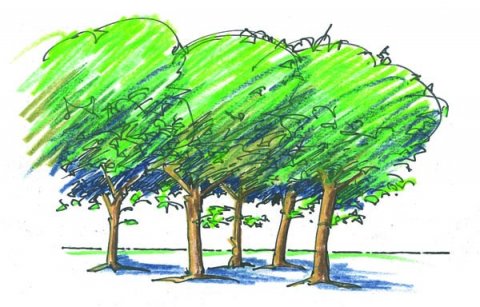 Grønenergi i parken