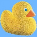 Just Ducky