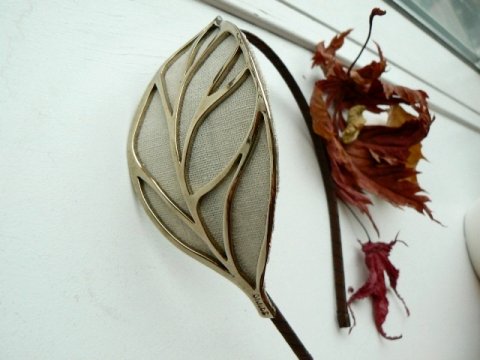 Leaves