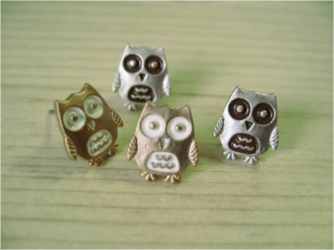The baby Owl
