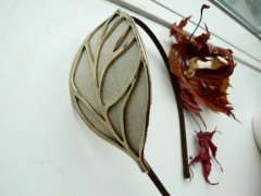Leaves