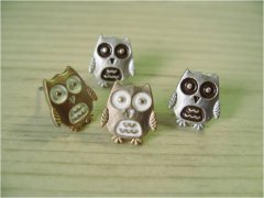 The baby Owl