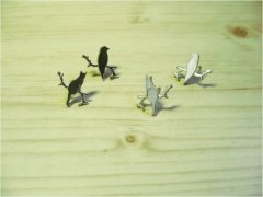 The Birds on the tree
