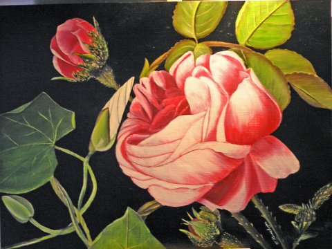 Engelsk rose og snerler