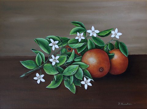 3 Appelsiner