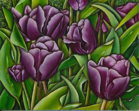 Lilla tulipaner