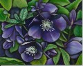 Helleborus