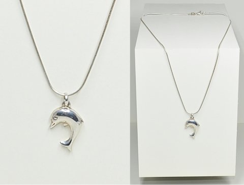 Slv delfin