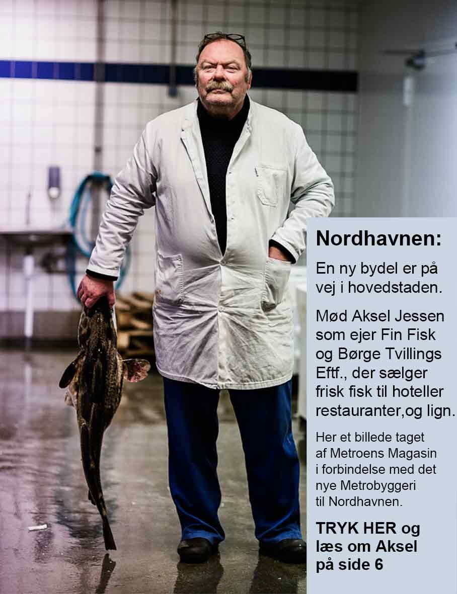 Aksel