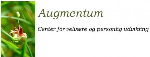 19. december 2015 - Gavekort til Augmentum