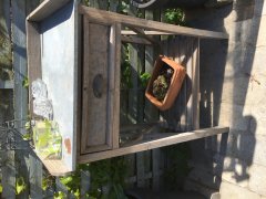 Plantebord