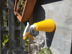 Blomsterforstver