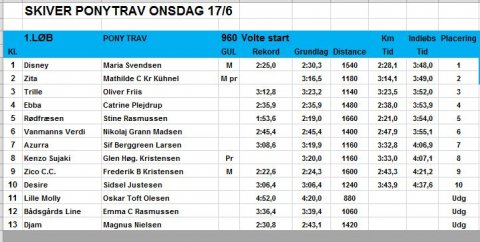 Resultatliste 17-06-2015