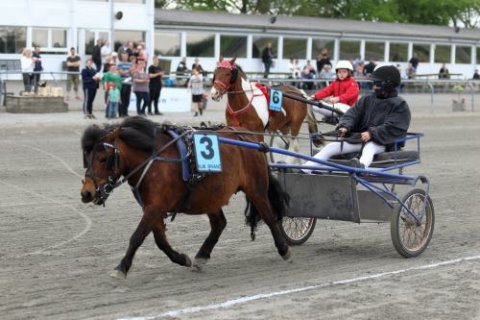 Pippi II og Lucas Kirk vinder ponyløbet 19/5-2017