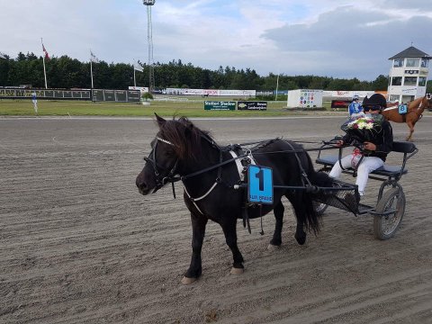 Bådsgårds Bacardi og Lucas Kirk 28/8-2017