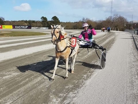 Kong Arthur og Ruben Kristensen