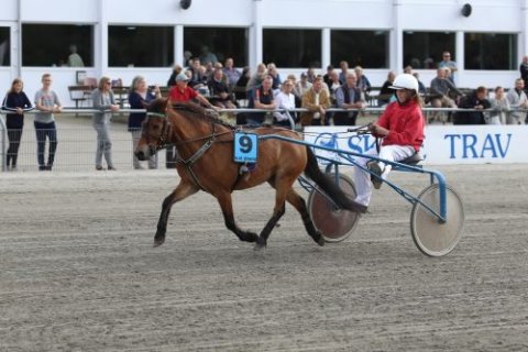 Pärloito og Catrine Plejdrup vinder 2/8-17