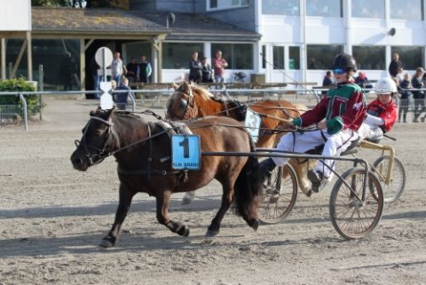 Vinder af ponyløbet 8/7-2019 - Fiesta og Mille Skov