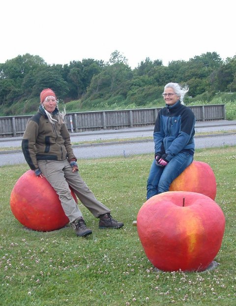Lotte Rosenkilde og Ellen Jepsen på deres æbleskulptur på Vester Havn, Fejø.