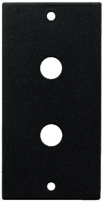 RSP-12RCA Panel t/phono