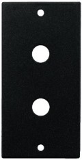 RSP-12RCA Panel t/phono
